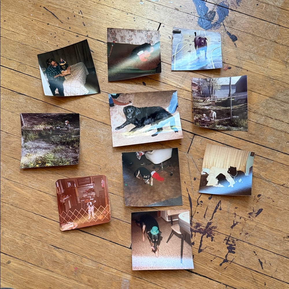 Vintage Photo Collection - Picture 1 of 12